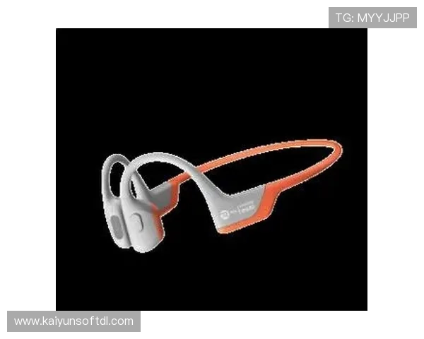 开云Kaiyun备用平台功能介绍及常见问题解决方案全攻略