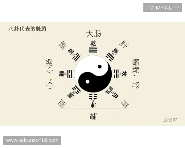 开运app手机版帮助用户改善运势，提供专业的风水和占卜指导服务